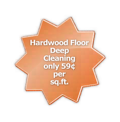 Hardwood floor deep cleaning only 59 cents per square foot